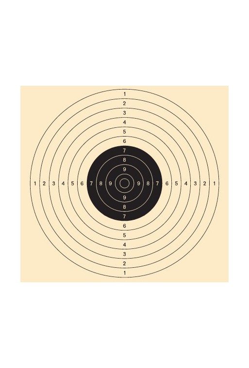 Cible de tir carton 55 X 55 cm