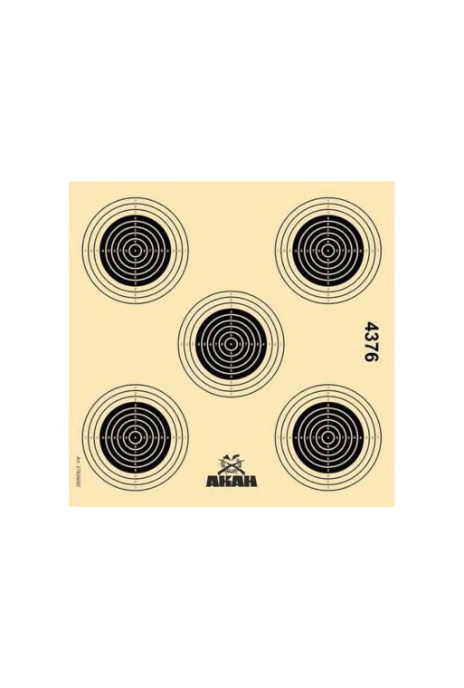 Cible carton 14x14cm Air Rifle AKAH