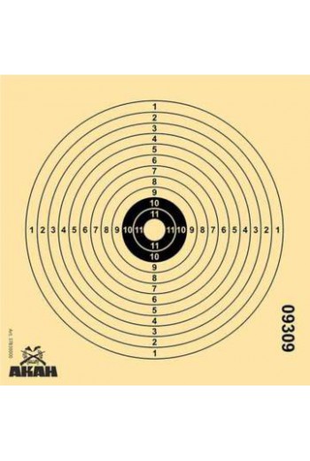 Cible carton 14x14cm Air Rifle AKAH