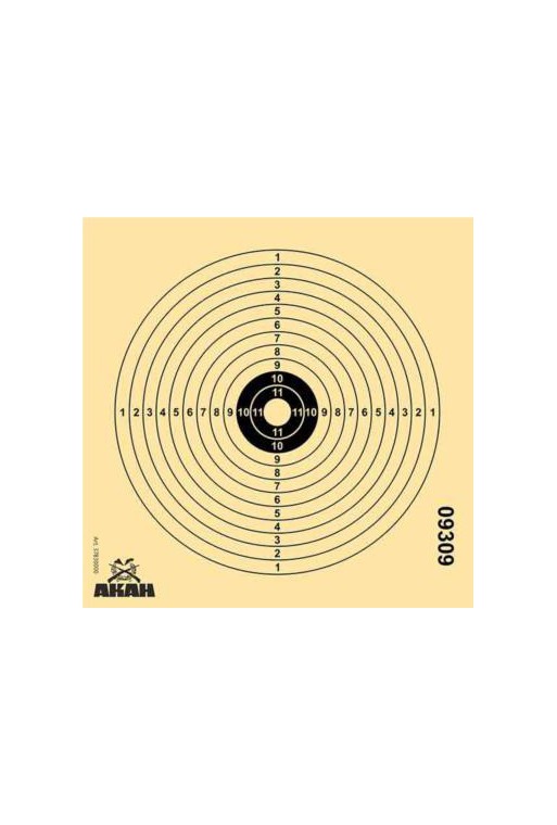 Cible carton 14x14cm Air Rifle AKAH