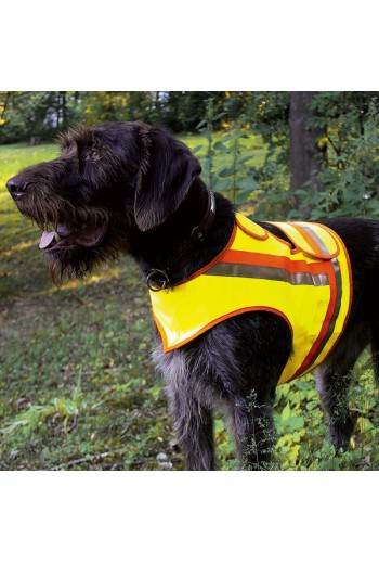 Gilet de signalisation pour petits chiens teckel