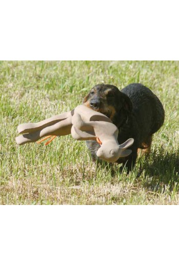 lièvre d"entrainement pour chien