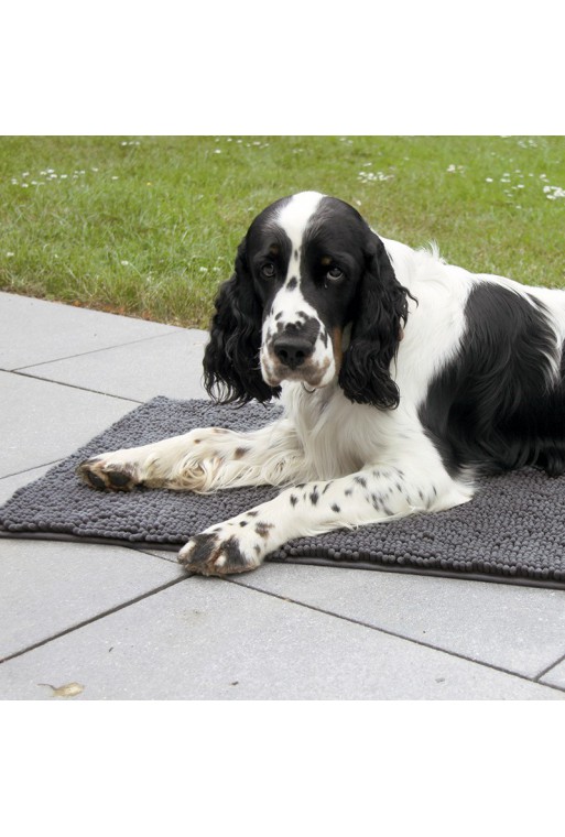 tapis pour chien