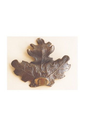 Feuille de chêne bronze.